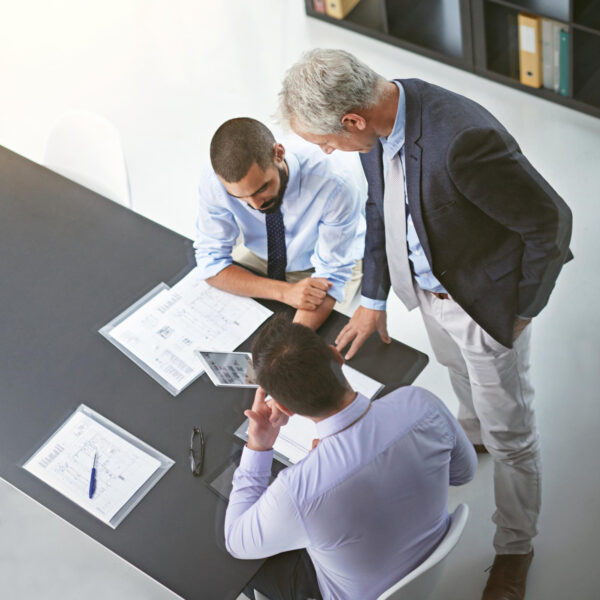Consulta profesional (legal/fiscal/laboral)